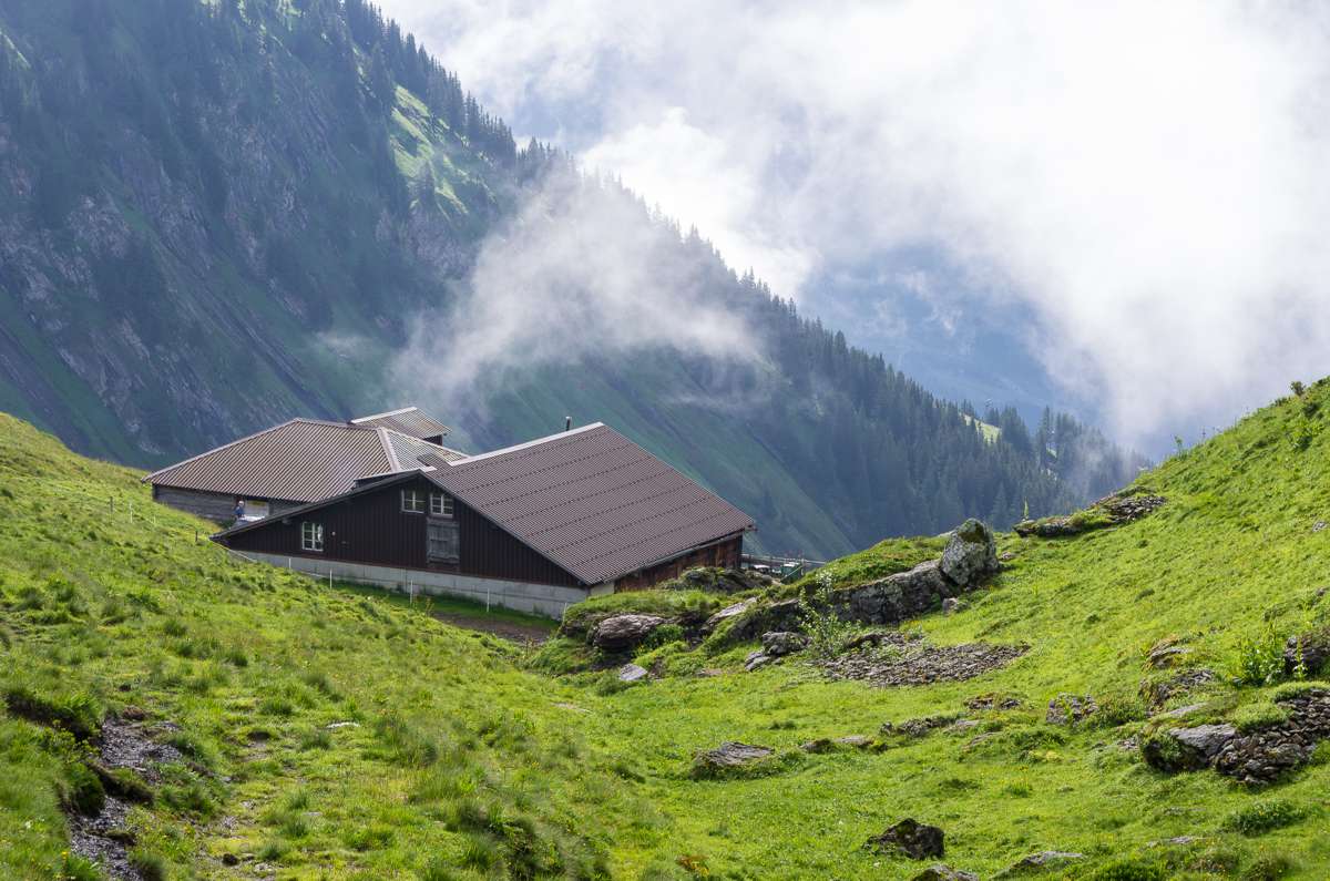 Alpine Cottage